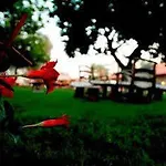 The Grand Ucel Ölüdeniz