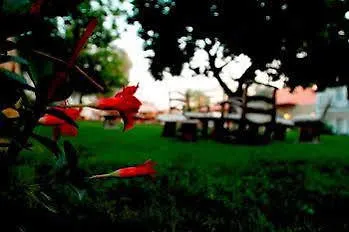 The Grand Ucel Олудениз